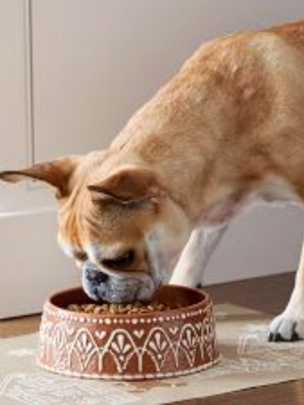 POTTERY BARN GINGERBREAD PET BOWL STONEWARE SMALL NEW